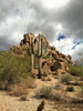 photo thumbnail #1