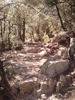 photo thumbnail #1
