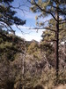 2011-11-28 :1: Old Baldy Trail #372 to Wrightson Summit :: JohnB67
