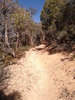 photo thumbnail #7