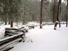 photo thumbnail #6