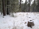 photo thumbnail #7
