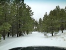 photo thumbnail #12