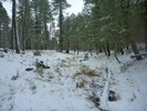 photo thumbnail #13