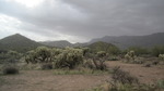 photo thumbnail #4