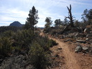 photo thumbnail #1