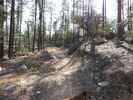 photo thumbnail #10