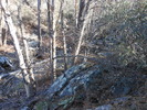 photo thumbnail #10