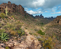 photo thumbnail #4