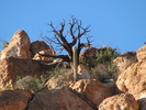 photo thumbnail #8