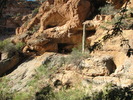 photo thumbnail #12
