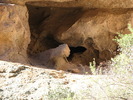 photo thumbnail #13
