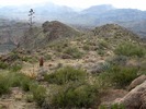 photo thumbnail #6
