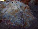 photo thumbnail #7
