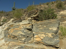 photo thumbnail #13