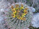 photo thumbnail #4