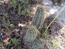 photo thumbnail #8
