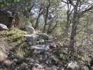 photo thumbnail #9