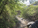 photo thumbnail #15