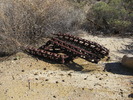 photo thumbnail #4