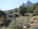 photo thumbnail #5