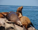 photo thumbnail #9