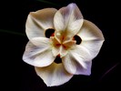 photo thumbnail #15