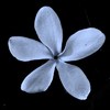 photo thumbnail #13