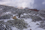 photo thumbnail #2
