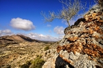 photo thumbnail #8
