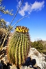 photo thumbnail #11