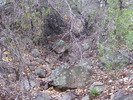 photo thumbnail #7