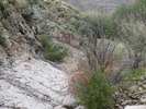 photo thumbnail #9