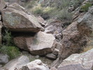 photo thumbnail #11