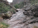 photo thumbnail #12