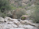 photo thumbnail #14