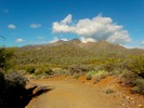 photo thumbnail #1