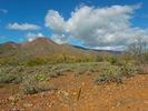 photo thumbnail #3