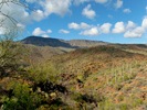 photo thumbnail #7