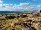 photo thumbnail #13