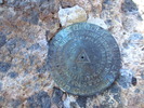 photo thumbnail #13