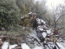 photo thumbnail #2
