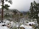 photo thumbnail #2