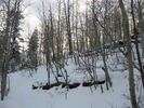 photo thumbnail #5