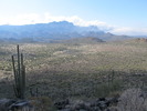 photo thumbnail #4