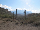 photo thumbnail #8