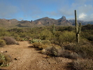 photo thumbnail #8