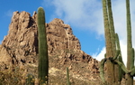 photo thumbnail #13