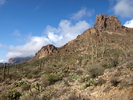 photo thumbnail #14