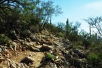 photo thumbnail #7